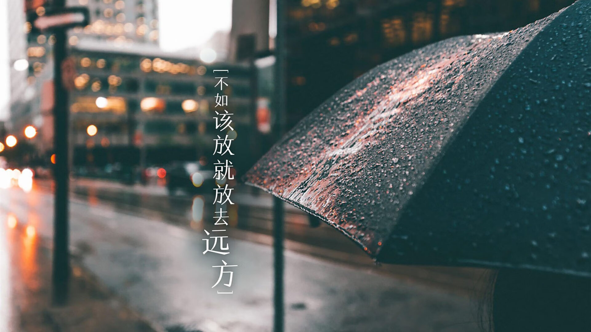 国际象棋中国公开赛天津滨海举行，240余名中外棋手角逐，国际象棋比赛结果